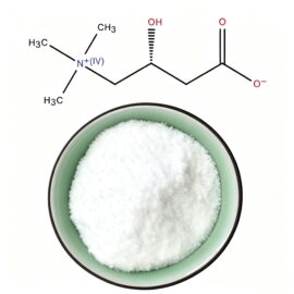 L-Carnitine Base