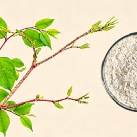 Resveratrol 50%, 98%