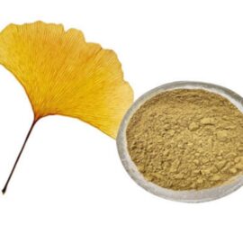 Ginkgo Biloba Extract