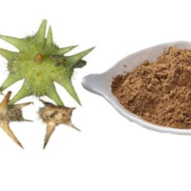 Tribulus Terrestris Extract