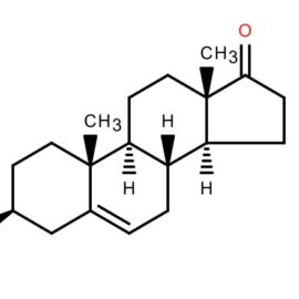 DHEA