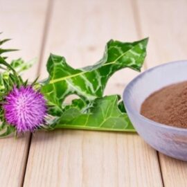 Milk Thistle Extract (Silymarin 80%)